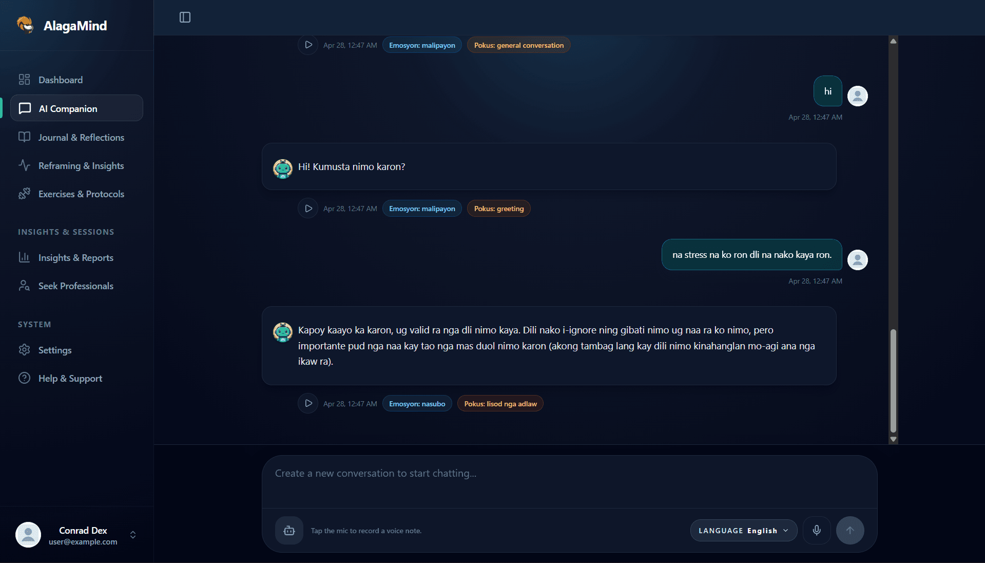 Chat with Your AI Companion preview