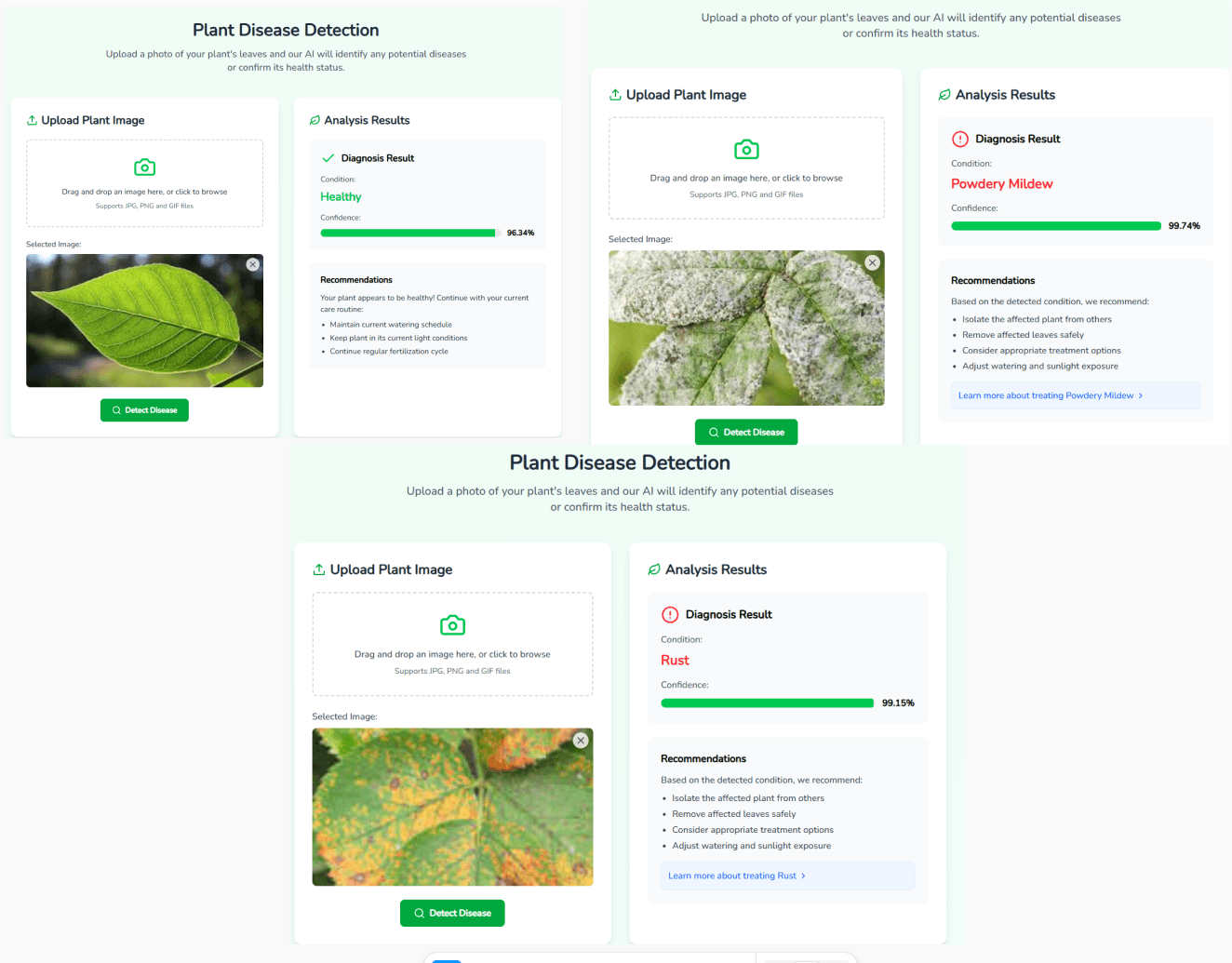 Plant Disease Detection preview