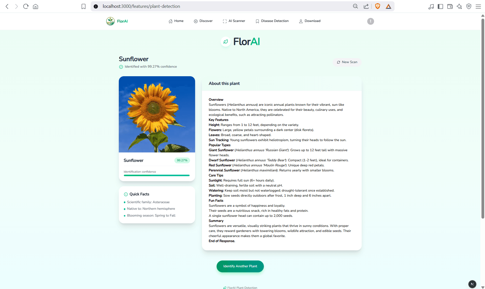 Flower Classification preview